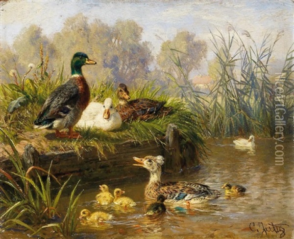 Enten Am Weiher Oil Painting - Carl Jutz the Elder