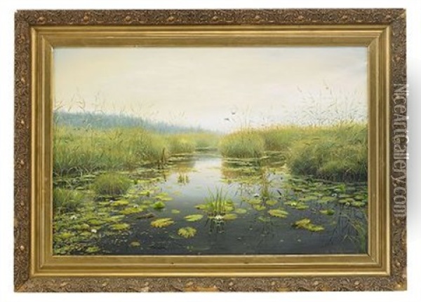 A Pond With Water Lilies Oil Painting - Mikhail Ivanovich Kholodovsky