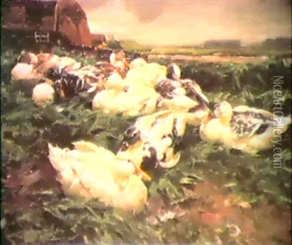 Enten Auf Einem Feld Oil Painting - Alexander Max Koester