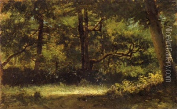 Foresta Di Fontainebleau Oil Painting - Alberto Pasini