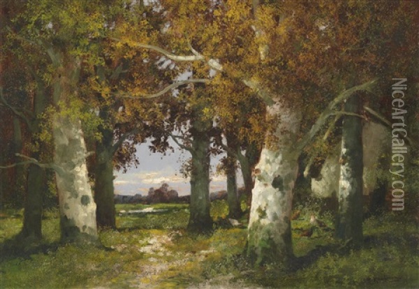 Waldlanschaft Oil Painting - Adolf Kaufmann