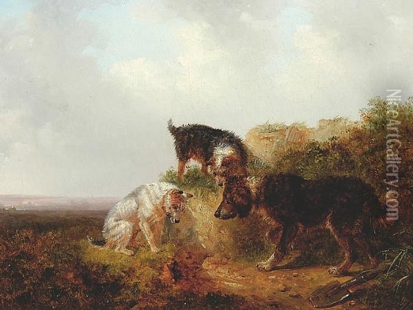 Terriers At A Rabbit Hole Oil Painting - Thomas Smythe