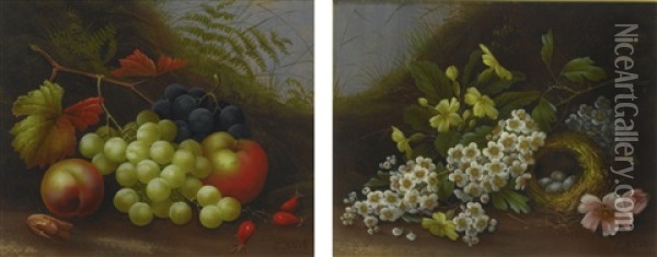 Still Life Of Apples And Grapes On A Mossy Bank; Still Life With Flowers And A Bird's Nest Oil Painting - Edwin Steele