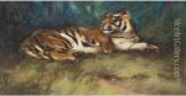 Tiger Oil Painting - Cuthbert Edmund Swan