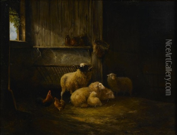 Chickens And Sheep In A Barn Oil Painting - August Knip