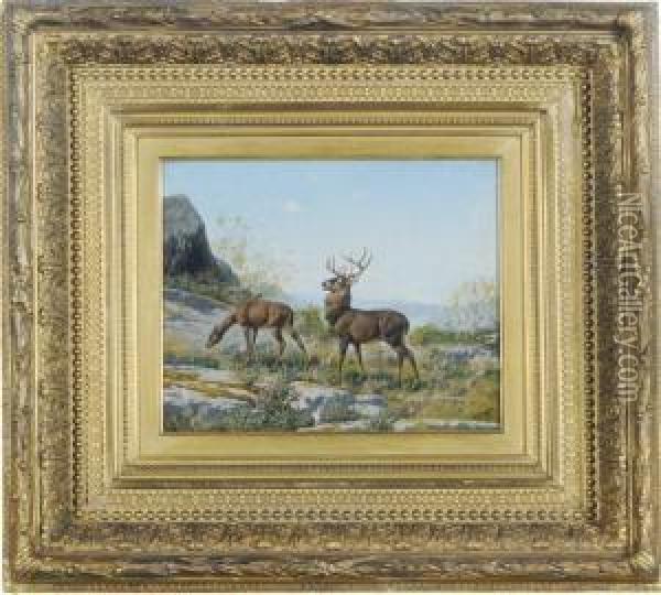 Doe And A Stag Oil Painting - William Baptiste Baird