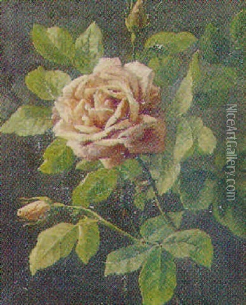 Lyserod Rose Oil Painting - Anthonie Eleonore (Anthonore) Christensen