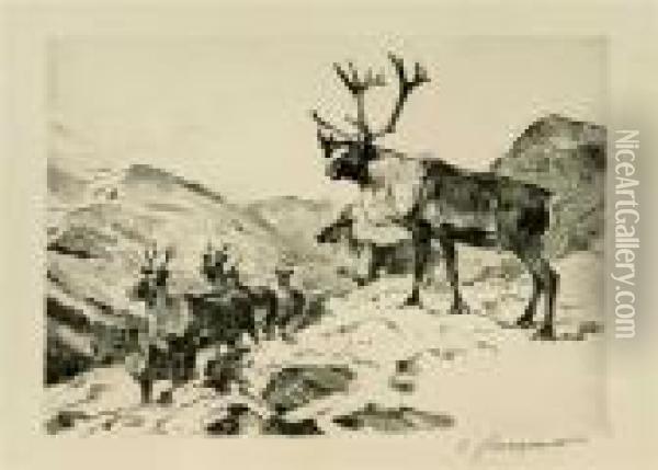 Mountain Caribou (c. 29) Oil Painting - Carl Ringius