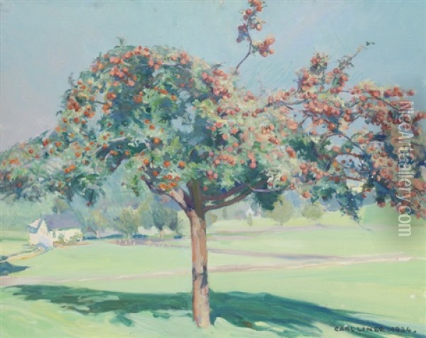 Apfelbaum Oil Painting - Carl August Liner