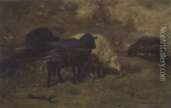 Grazing Sheep Oil Painting - Charles Emile Jacque