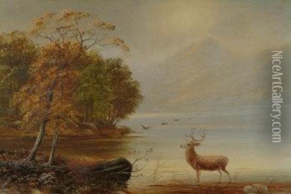 Misty Morning In The Highlands, Deer By A Loch Side, With Autumn Woodland And Hills Beyond, Companion Work By The Some Hand Oil Painting - James Shaw Crompton