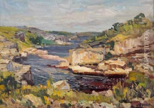 Landscape And Stream Oil Painting - Pieter Hugo Naude