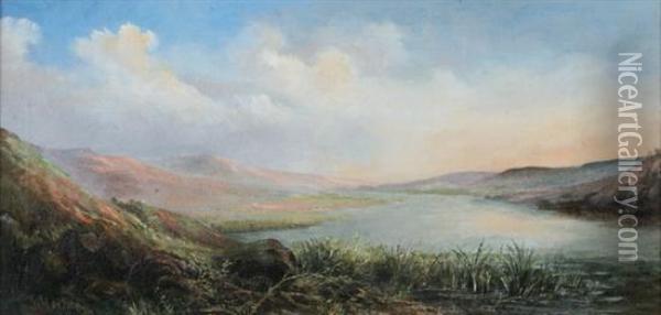 Lake Landscape In Summer Oil Painting - Joseph Hochrein