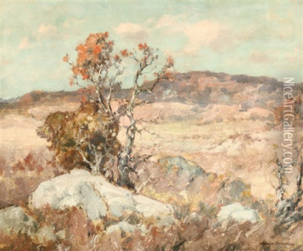 Sycamore In Autumn Oil Painting - Maurice Braun