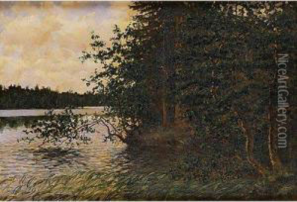 Paisaje Con Lago Oil Painting - Thure Sundell