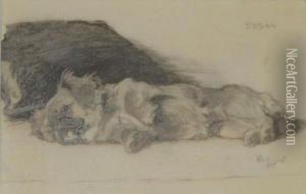 'susan': A Restingdog Oil Painting - Cecil Charles Aldin