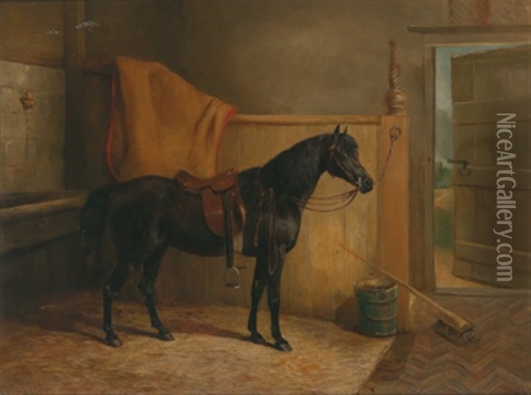 Ein Gesattelter Rappe Im Stall Oil Painting - Arthur James Stark