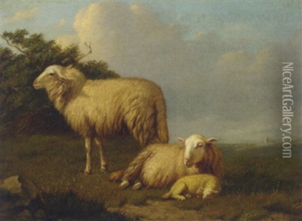 Sheep With Lamb In A Meadow Oil Painting - Eugene Remy Maes