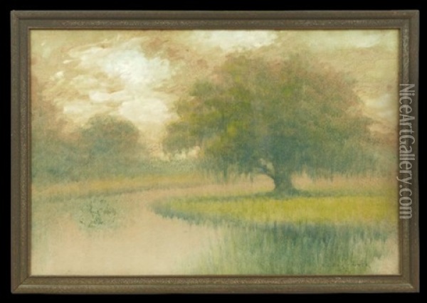 Louisiana Bayou, Dawn Oil Painting - Alexander John Drysdale