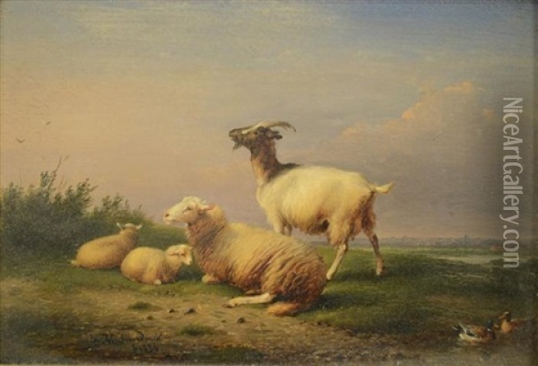 Sheep And Goat In Pasture Oil Painting - Francois Vandeverdonck