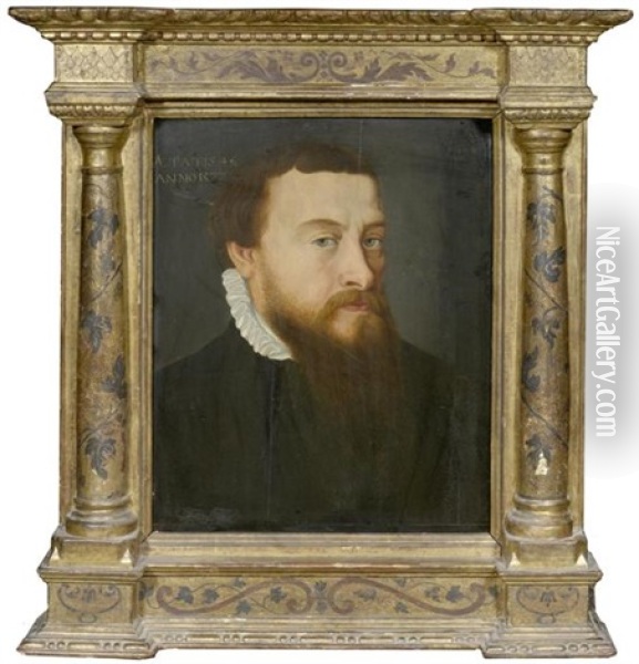 Portrait Eines Edelmannes Im Alter Von 46 Jahren Oil Painting - Frans Pourbus the Elder