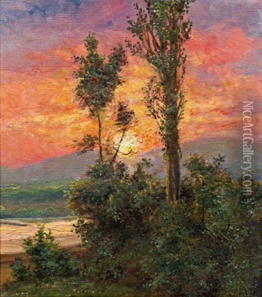 Sonnenuntergang An Der Donau Oil Painting - Leontine (Lea) von Littrow