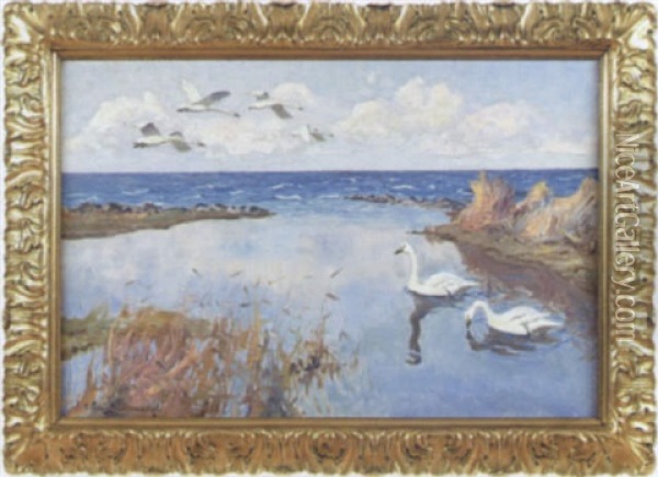 Svanar I Strandkant Oil Painting - William Gislander