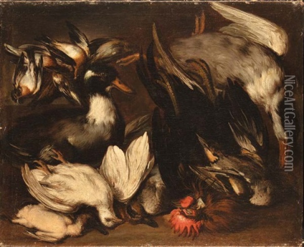 Natura Morta Con Gallo E Beccacce Oil Painting - Giovanni (Crivellino) Crivelli
