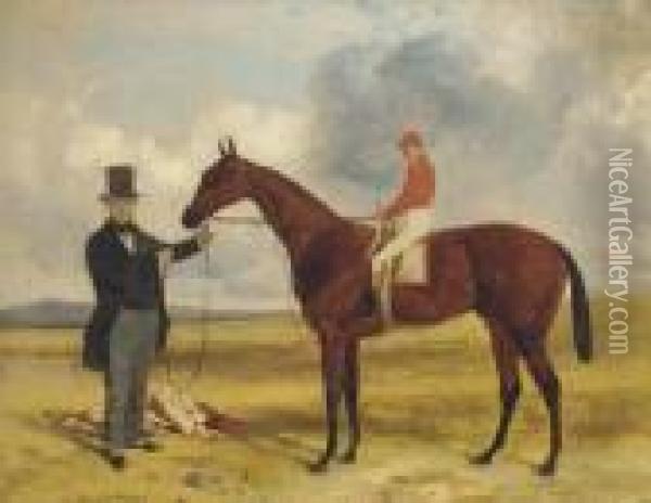 A Trainer Holding A Bay Racehorse, Jockey Up, At Newmarket Oil Painting - Harry Hall