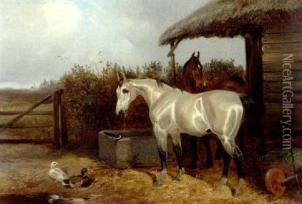 A Bay And Grey Horse In A Stable Yard With Ducks Oil Painting - Colin Graeme