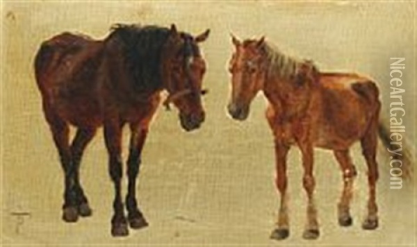 Study Of Two Horses Oil Painting - Theodor Philipsen