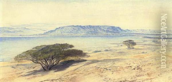 The Southern End Of The Dead Sea Oil Painting - Edward Lear