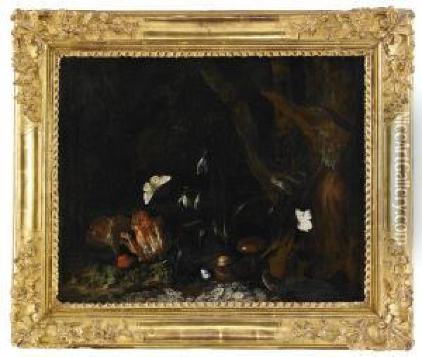 Skogsbild Med Ormar Oil Painting - Otto Marseus Snuff. Van Schrieck