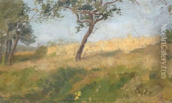 Sommerlandschaft Mit Baumen Oil Painting - Christian Landenberger