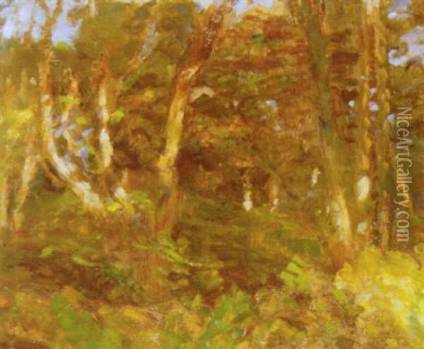 Skagen Plantage Oil Painting - Julius Paulsen