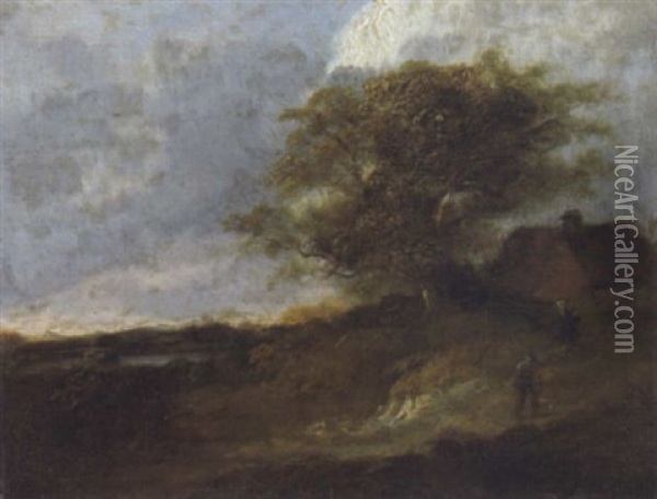 Hollandische Dunenlandschaft Mit Einem Gehoft Und Einem Bauern Oil Painting - Jacob Van Ruisdael