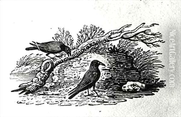 Crows (Corvus corone corone) from the 'History of British Birds' Volume I Oil Painting - Thomas Falcon Bewick