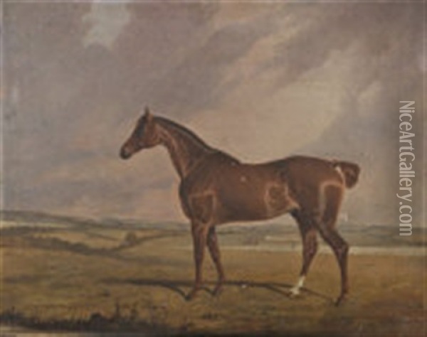 A Portrait Of A Blood Horse In A Landscape Oil Painting - George Fenn