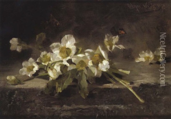 Weise Anemonen Oil Painting - Olga Weiss