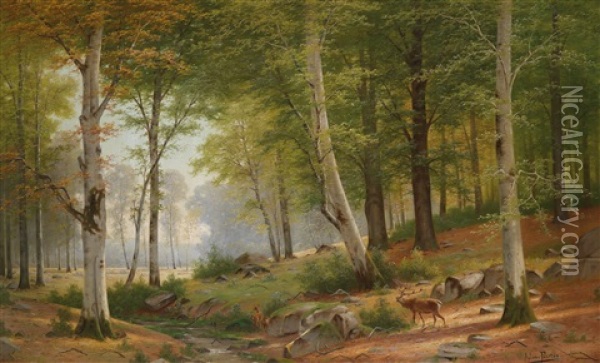 Romantic Landscape With Red Deer At The Stream