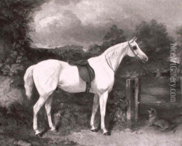 A Grey Pony Saddled Up And Waiting For Mistress Oil Painting - George Bouverie Goddard