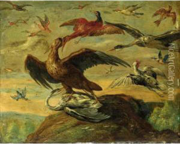 A Still Life With An Eagle, 
Stalks, A Pheasant, A Chicken, Kingfishers And Other Birds In A 
Landscape Oil Painting - Jan van Kessel