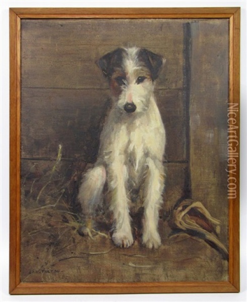 Untitled (portrait Of Jack Russell Terrier) Oil Painting - Samuel Fulton