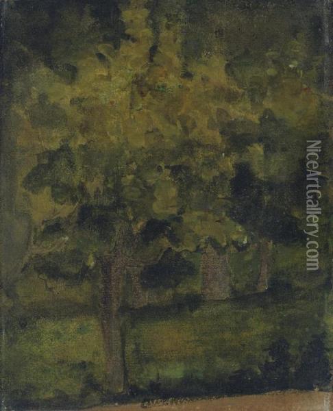 Arbres Oil Painting - Paul Cezanne