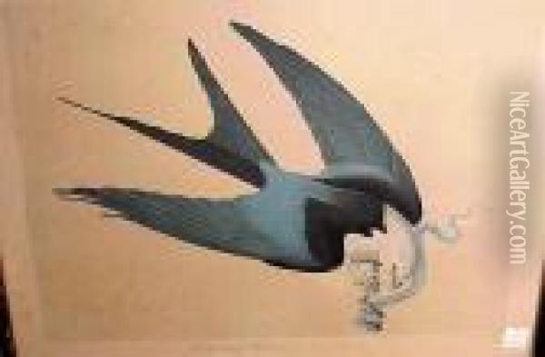Swallow-tailed Hawk Oil Painting - John James Audubon