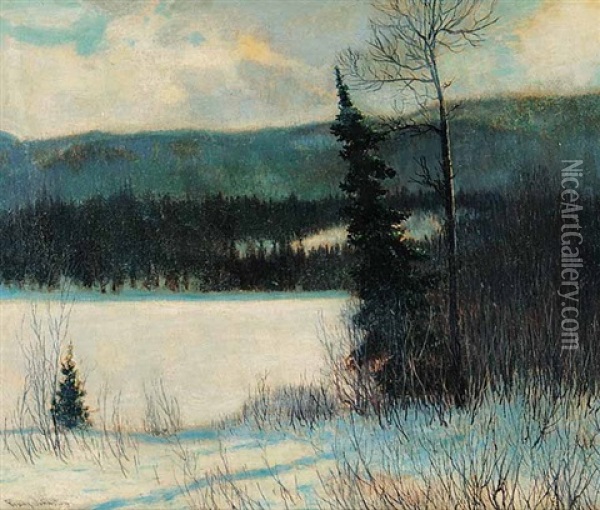 A Mood In March Oil Painting - Francis Hans Johnston